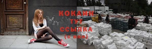 дживик Аркадак