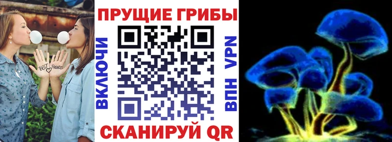 наркошоп  MEGA ссылка  Псилоцибиновые грибы Psilocybine cubensis  Макаров 